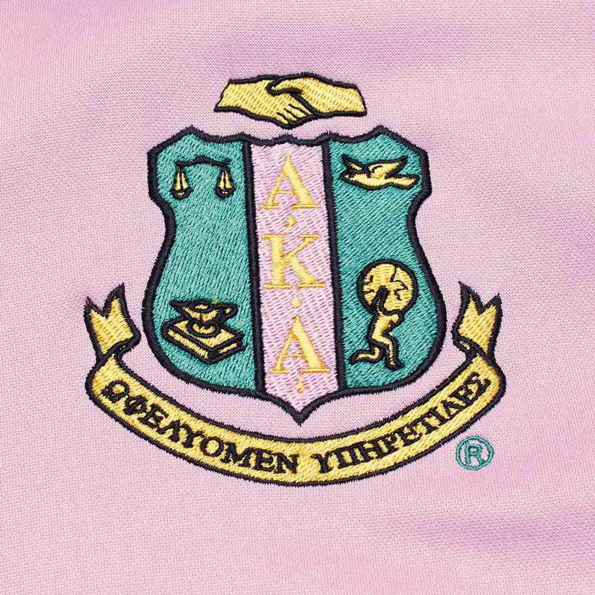 AKA Greek Apparel XL Pink Zip Up Track Jacket